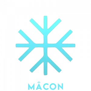 Flocon stylisé symbole du service frigoriste mâcon de delta theta